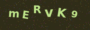 Validation image