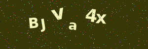Validation image